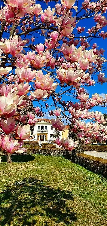 Villa Serena Agriturismo Montebelluna